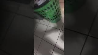 si se meten a robR escóndete