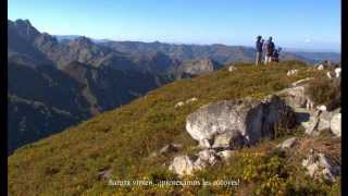 2013_10_26 arraz