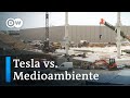 Tira y afloja de Tesla en Alemania