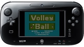 バレーボール プレイ映像