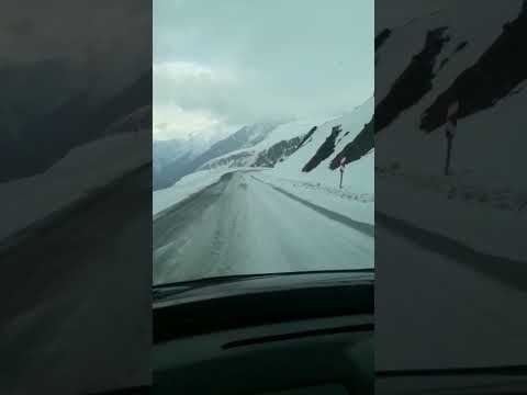seyda Perinçek Derdo