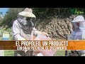 Beneficios del Propoleo, un Producto con Gran Potencial - TvAgro por Juan Gonzalo Angel