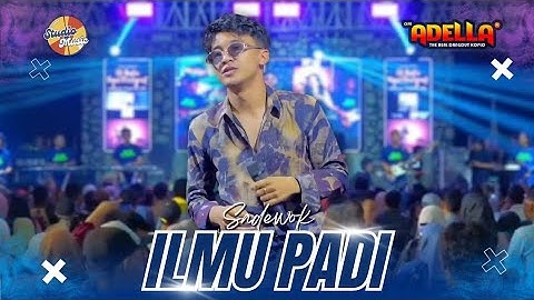 ILMU PADI - Sadewok | OM ADELLA LIVE PEKALONGAN KOTA