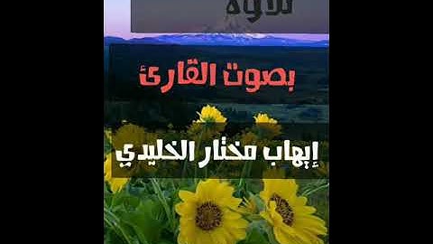 تلاوه بصوت القارئ إيهاب مختار الخليدي(فلاتك في مريه مما يعبد هؤلا)