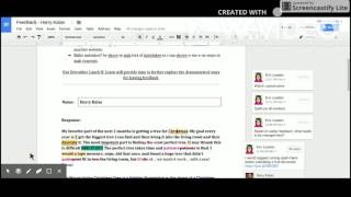 Digital Feedback in Google Docs