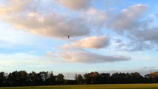T-REX 500 FBL Rondo V4.3b Testflight 10.10.12