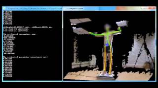 Online Identification and Visualization of the CoM via constrained Kalman filter