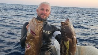 Spearfishing Türki̇ye Zıpkınla Balık Avı