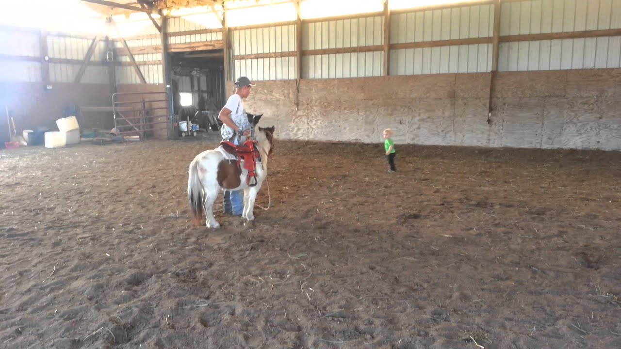 Lot 805 HermansonKist Fall 2013 YouTube