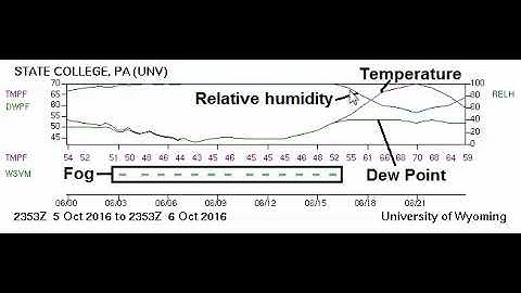 Temperature, Dew Point, and Relative Humidity: A Day in the Life