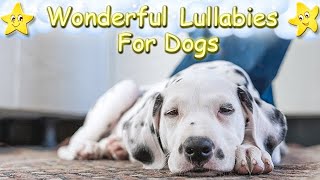 Dog's Sleep Time Relax Your Dalmatian Puppy Effectively ♫ Calming Lullaby For Dogs Pet ♥ Stress Free screenshot 1