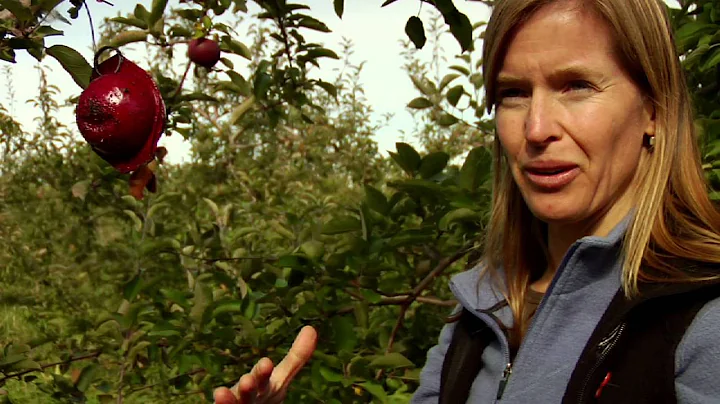 Integrated Pest Management