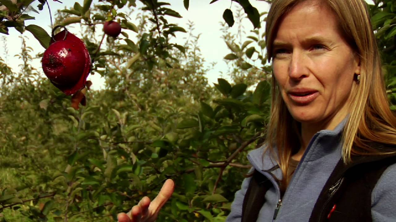 Integrated Pest Management