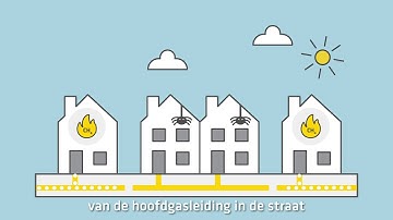 Stedin Van aardgas  naar  waterstof mede mogelijk gemaakt v1,1