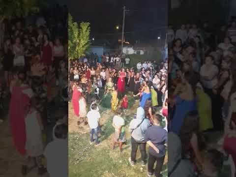 dj serkan demetokada seycan  gelinde twerk show