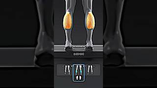 Train Your Full Calves With This Foot Position Trick