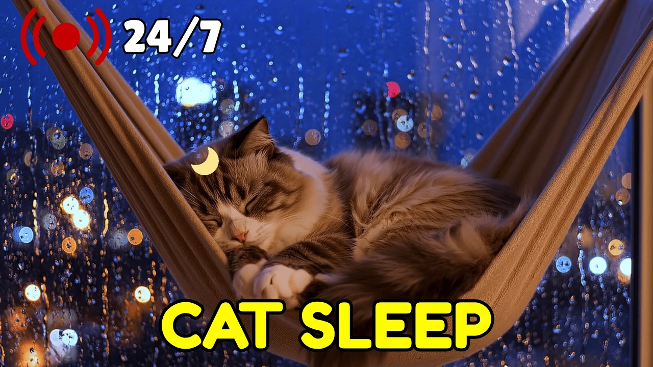 Calm Cat Energy 🐾🎶 Soft Piano Music Mix for Deep Feline Relaxation