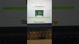 AI Alt Text Generator Online