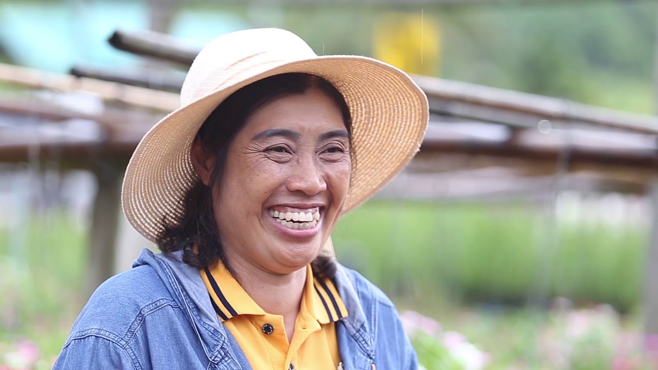 ไม้ดอกไม้ประดับ ตอนที่ 6: แพงพวย รวยกำไร ปลูกยังไง ให้กำไรดี