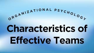 Characteristics of Effective Teams - Organizational Psychology Lecture 11.4