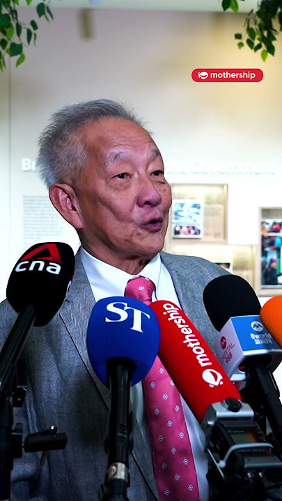Ng Kok Song explains how candidates should present themselves on social media  #pe2023 #singapore