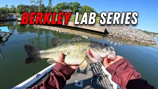 Ok Maybe These Baits Do Actually Work