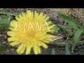 Diana Gordon "Diana" [Official Lyrics Video]