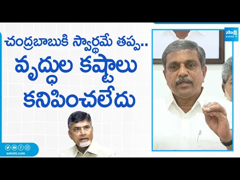 Sajjala Ramakrishna Reddy Fires On Chandrababu Over AP Pension Scheme | AP Volunteers |@SakshiTV - SAKSHITV