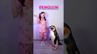 🐾 Let's Spot Hidden Animals Together! Fun Learning Game! 🎉