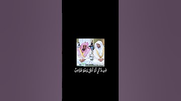 سورة غافر ياسر الدوسري