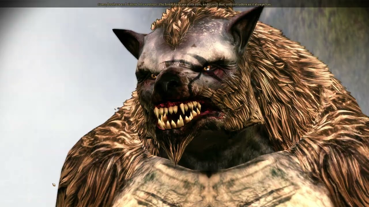 Let's Play Dragon Age: Origins - Ultimate Edition - Ep. 87 - Fell