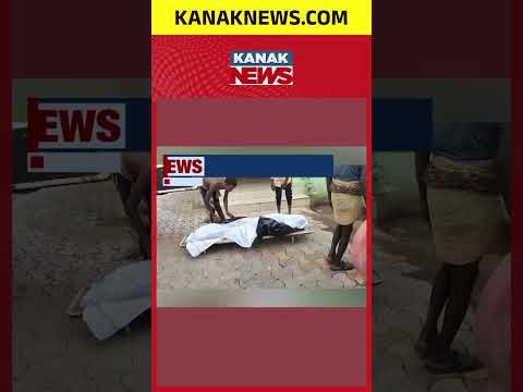 Horrific Elephant Attack in Keonjhar! 1 Dead, Brother & Sister Miraculously Escape