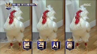 ranking Show 123  123  A Goodlooking Chicken 20171013