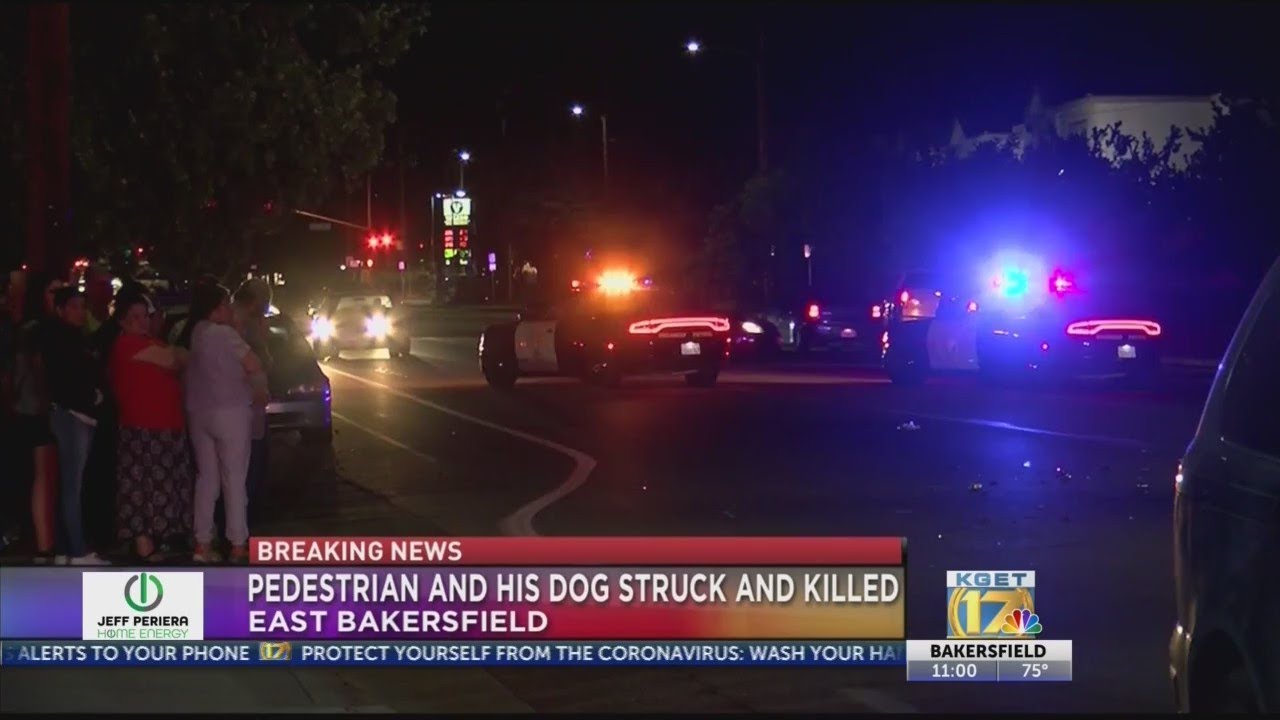 Man and his dog struck and killed by vehicle in East Bakersfield ...