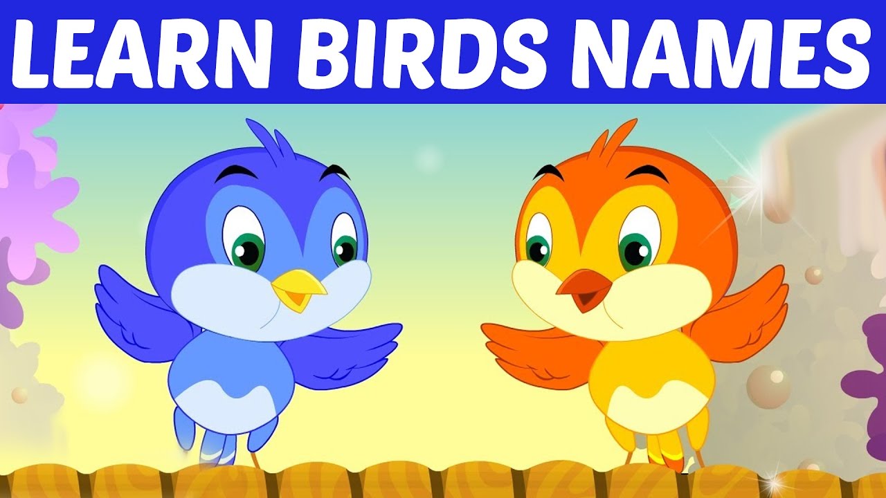 Learn English Birds Names Animation Preschool Nursery rhymes for