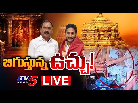 Breaking : LIVE : బిగుస్తున్న ఉచ్చు! | Bhumana Karunkar Reddy Inquiry | Parakamani Satish | TV5 News - TV5NEWS
