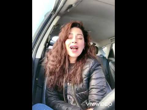 يا ظريف الطول وقف تقولك أمل إبراهيم