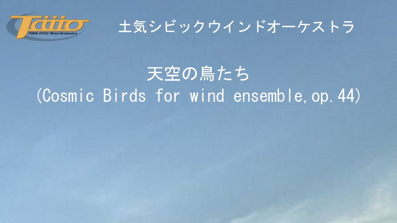 天空の鳥たち(
