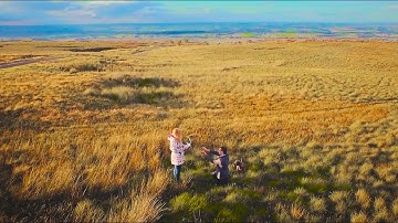 DJI Phantom 3 - Sharing Our Love