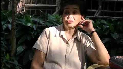 The AFP Modernization Program: Where did we go wrong?