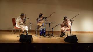 Sanubar Tursun live concert in London 12 May 2014