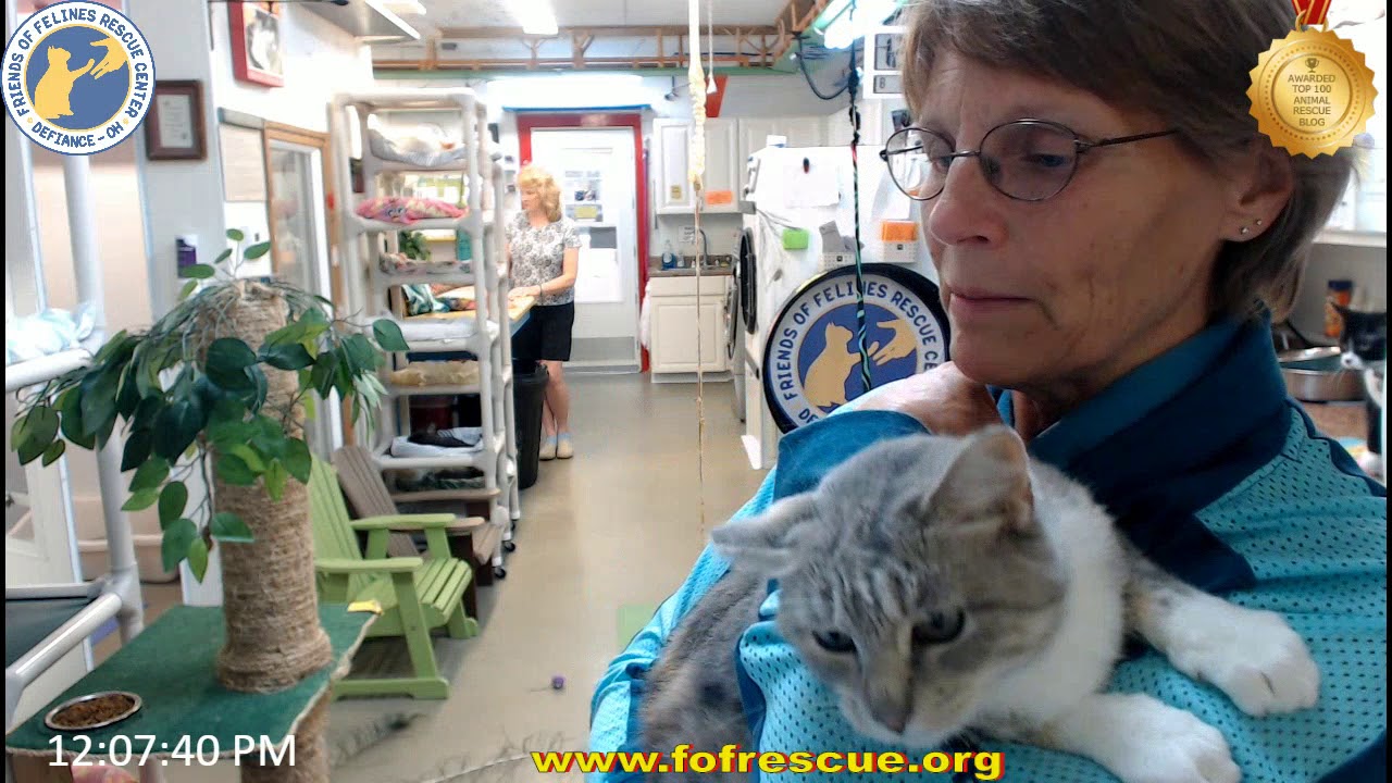 cage free vs organic eggs Adoption Tillie Rose 08/01/18