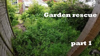 Helping this family get their garden back | my biggest free yard clear up so far | part 1