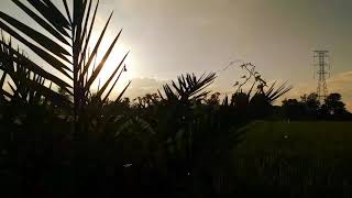 Al-aqlu sālim fi jismi sālim-putri barat Nurul Hakim Lombok💟