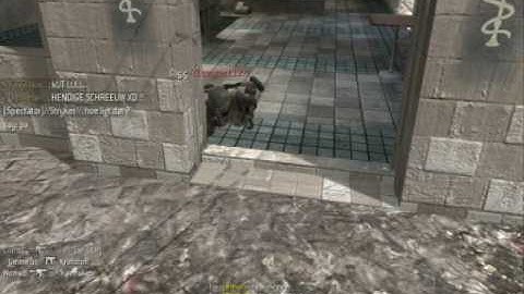 Cod4 Teamwork with ummelair kavinskie and of course zeester