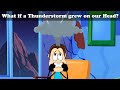 Umsom Video Quiz
