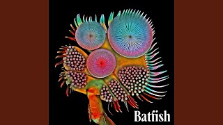 Batfish
