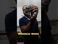 Blackhead MojaveNeed I say more ?#snakevibes #inthelab