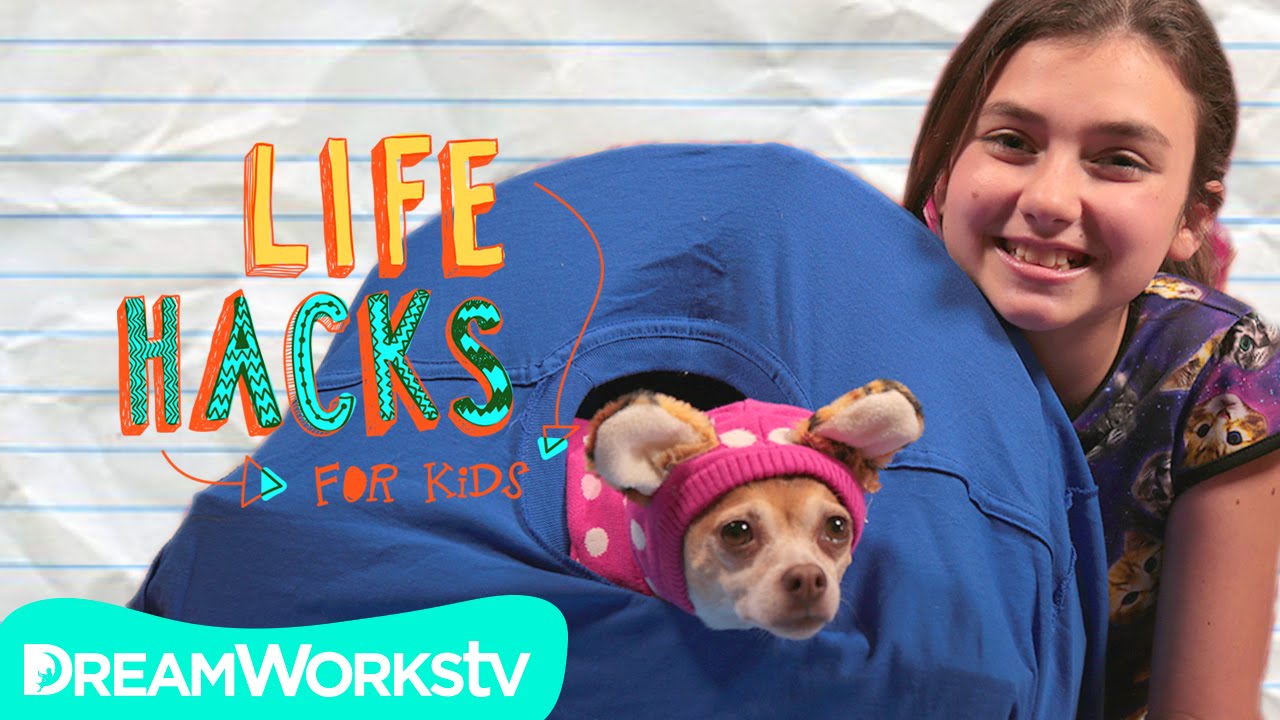 Cat Hacks (With Your Dog) I LIFE HACKS FOR KIDS - YouTube