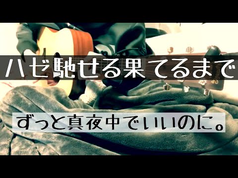 ハゼ馳せる果てるまで / ずっと真夜中でいいのに。 cover 市川周